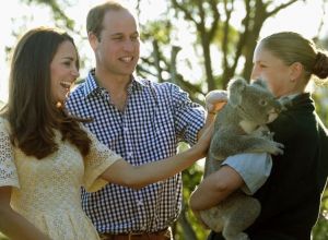 Kate and William patted a young male koala at Taronga Zoo - royal tour - Sydney 2014.jpg